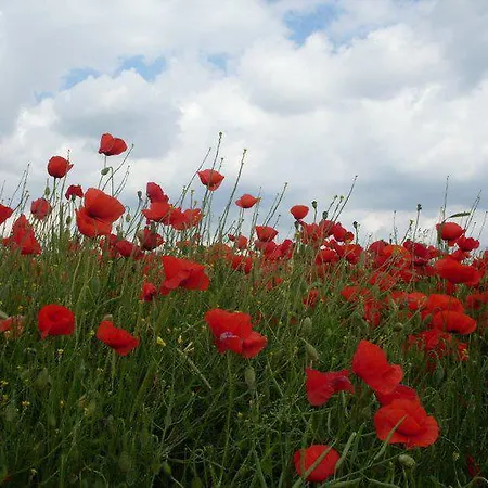 Les Couleurs Picardes * Aubigny (Somme)